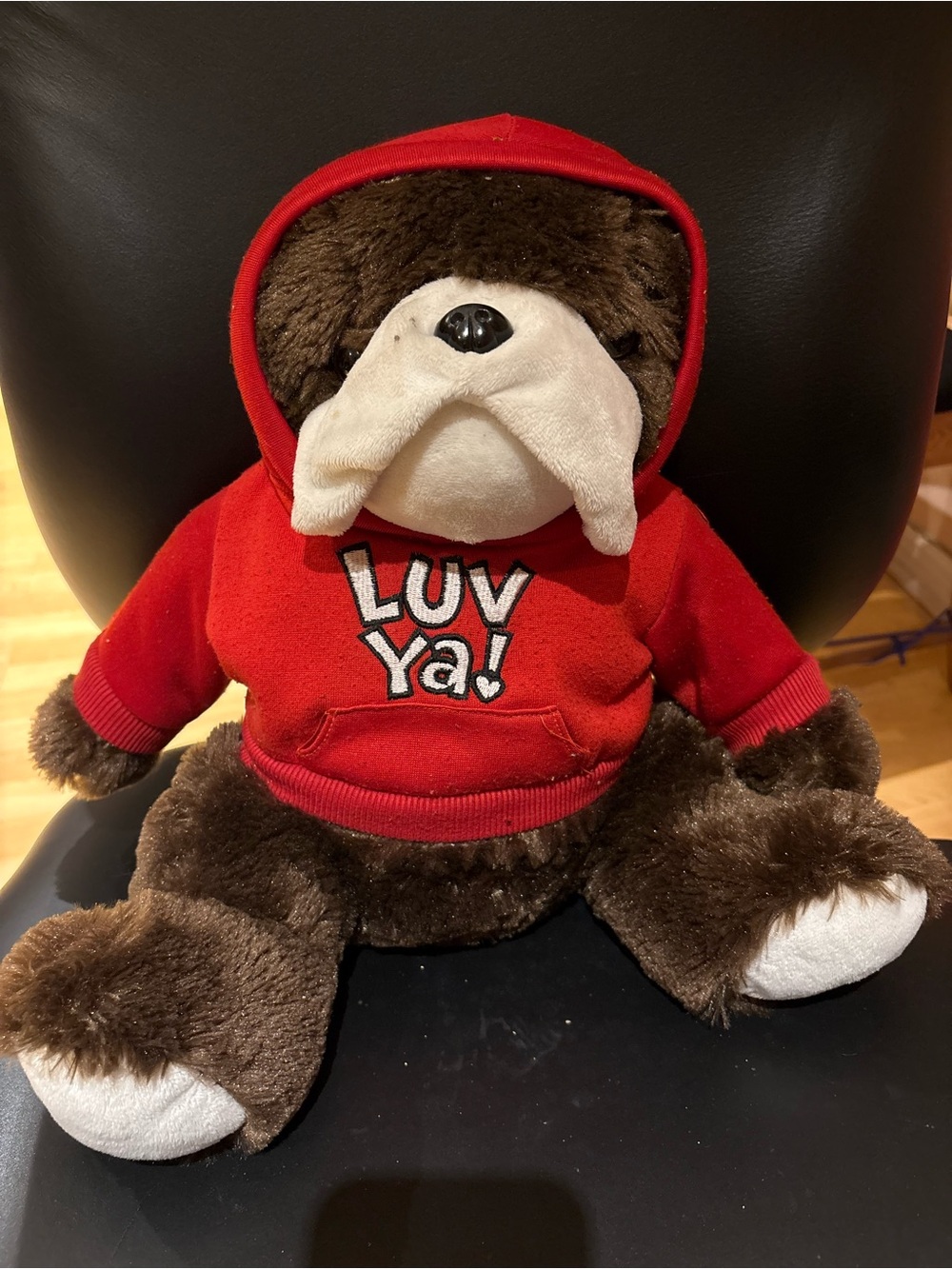 Plush Bulldog in Red Hoodie - 'Luv Ya!'